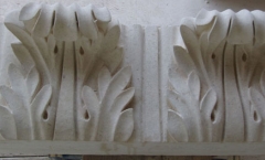 Large acanthus leaves Large acanthus leaves