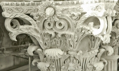 Missing volutes Missing volutes